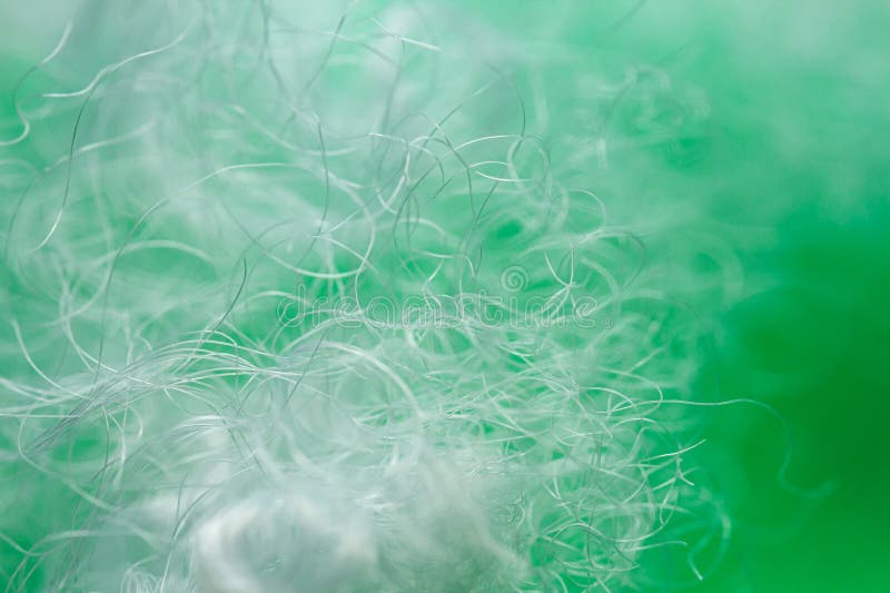 Extreme macro of polyester stable fiber on green background royalty free stock photography