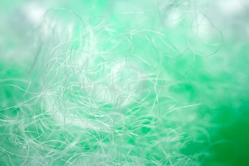 Extreme macro of polyester stable fiber on green background stock photo