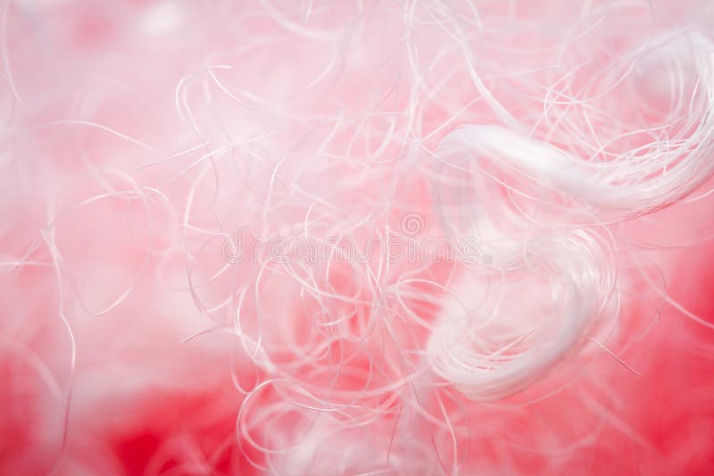 Extreme macro of polyester stable fiber on red background stock photo