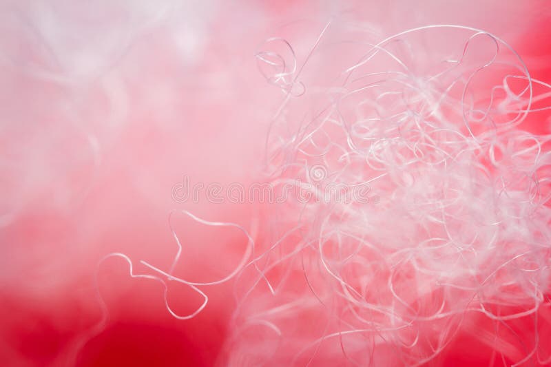 Extreme macro of polyester stable fiber on red background royalty free stock photo