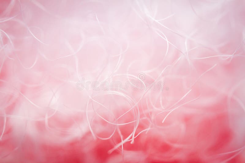 Extreme macro of polyester stable fiber on red background royalty free stock photography