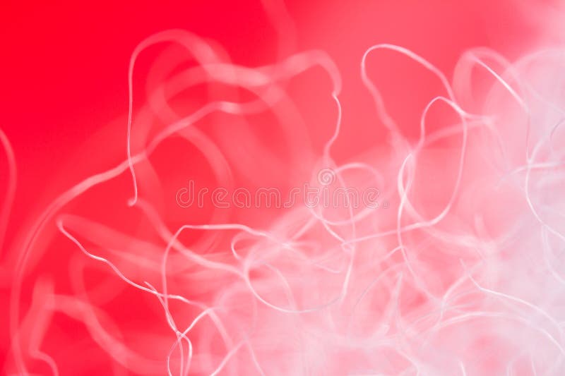 Extreme macro of polyester stable fiber on red background royalty free stock photos