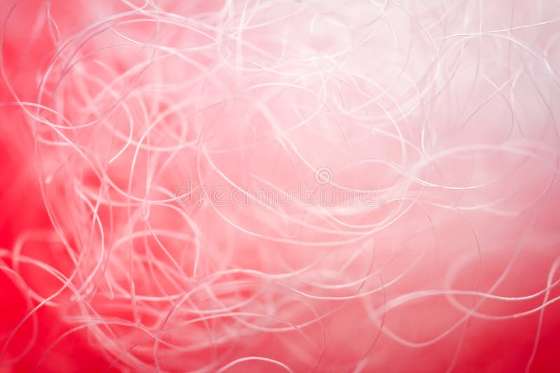 Extreme macro of polyester stable fiber on red background royalty free stock image