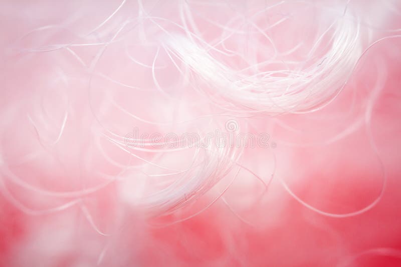 Extreme macro of polyester stable fiber on red background royalty free stock photo