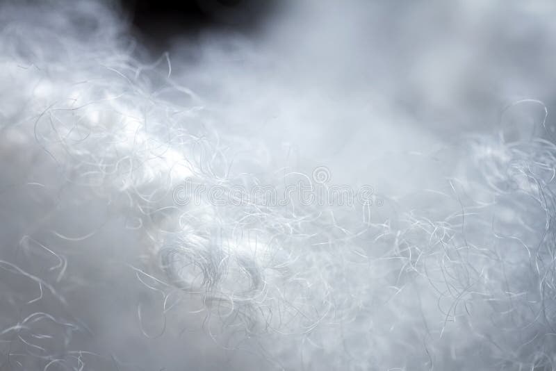 Extreme macro of polyester stable fiber royalty free stock image