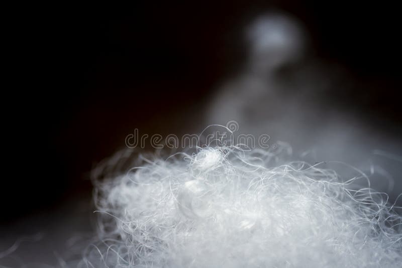 Extreme macro of polyester stable fiber royalty free stock image
