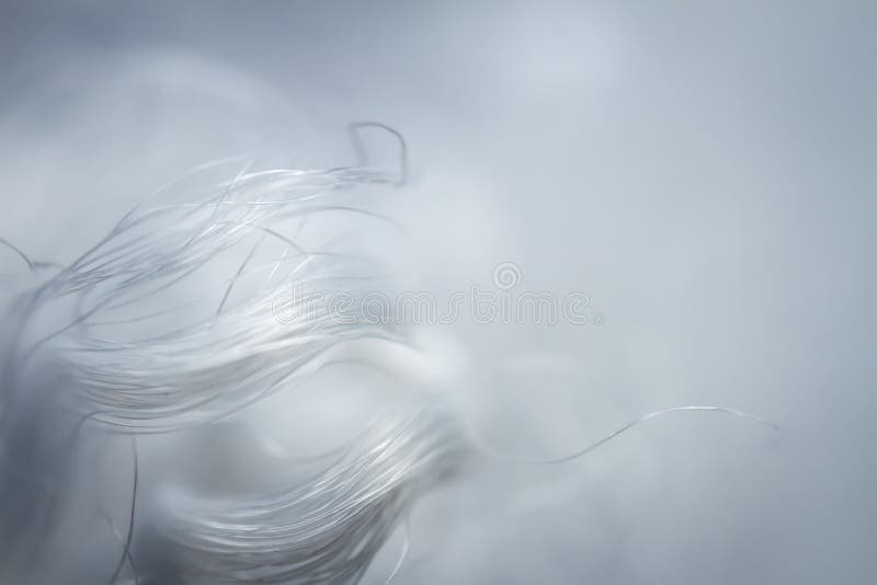 Extreme macro of polyester stable fiber stock images