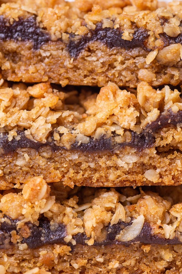 Extreme Nahtextur von Dattelquadraten oder Traubenkuchen ein traditionelles kanadisches Gebäck lizenzfreies stockfoto