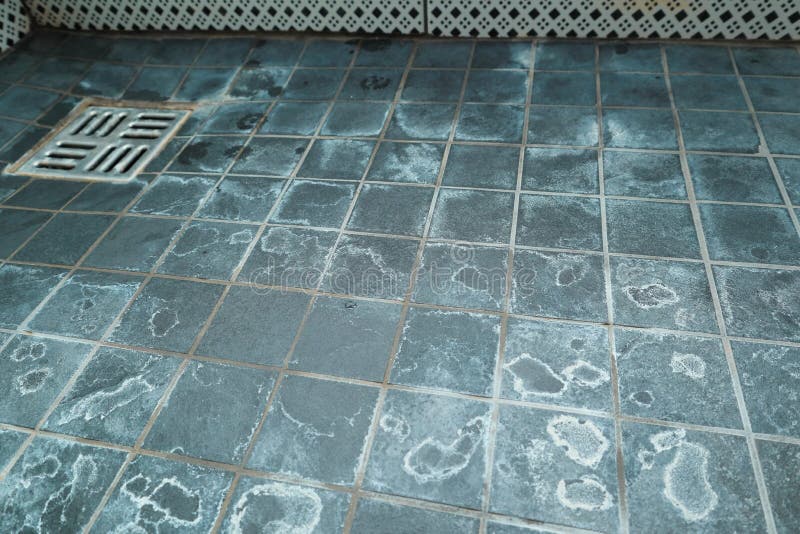 Extremely dirty bath drain mesh, hole and tiles surface covered with limescale. Marks on tiles in a shower from the water and stock photography