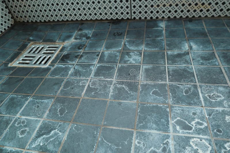 Extremely dirty bath drain mesh, hole and tiles surface covered with limescale. Marks on tiles in a shower from the water and royalty free stock photos