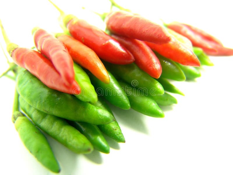 Rows of red and green chili