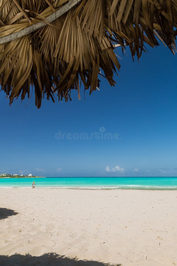 Exuma, Μπαχάμες σκηνή παραλιών που εξετάζει έξω από ένα palapa το μπλε στοκ εικόνες Exuma, Μπαχάμες σκηνή παραλιών που εξετάζει έξω από ένα palapa το μπλε στοκ εικόνες