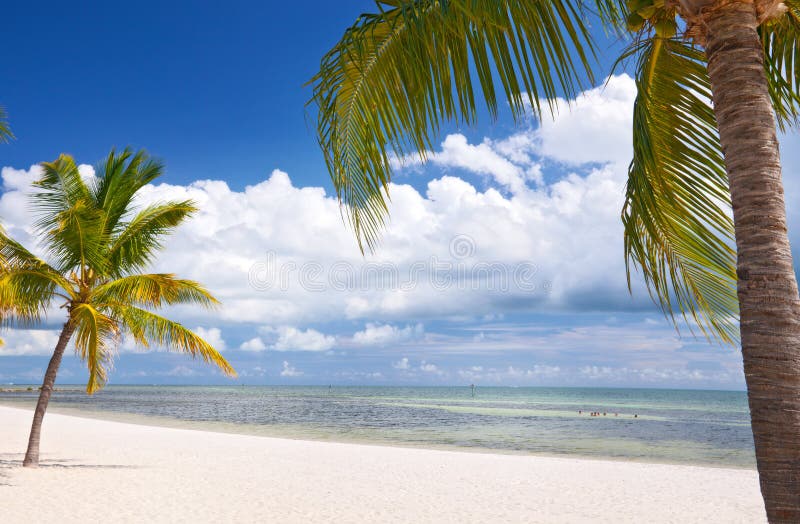 Ey West Florida, beautiful summer beach landscape stock photos Ey West Florida, beautiful summer beach landscape stock photos