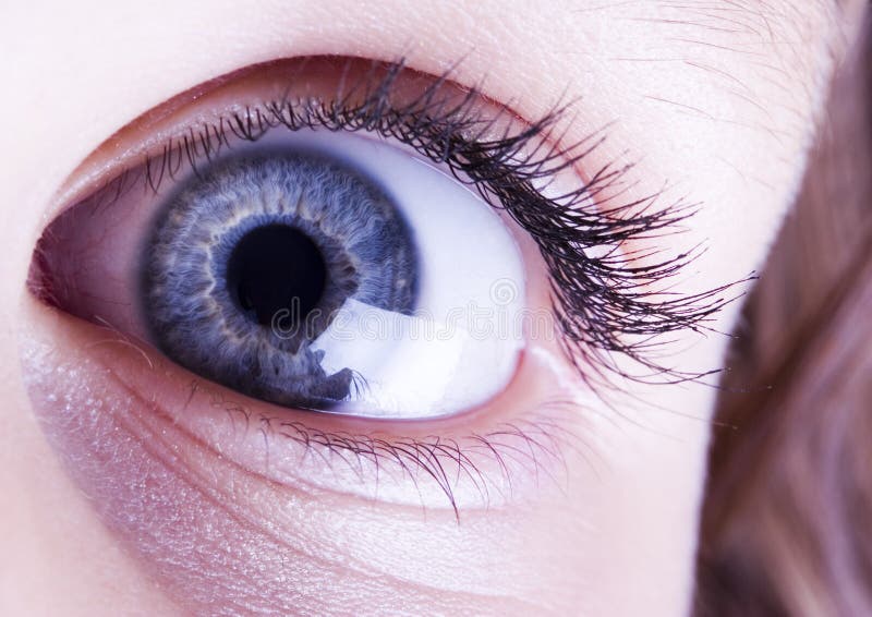 Eye royalty free stock image