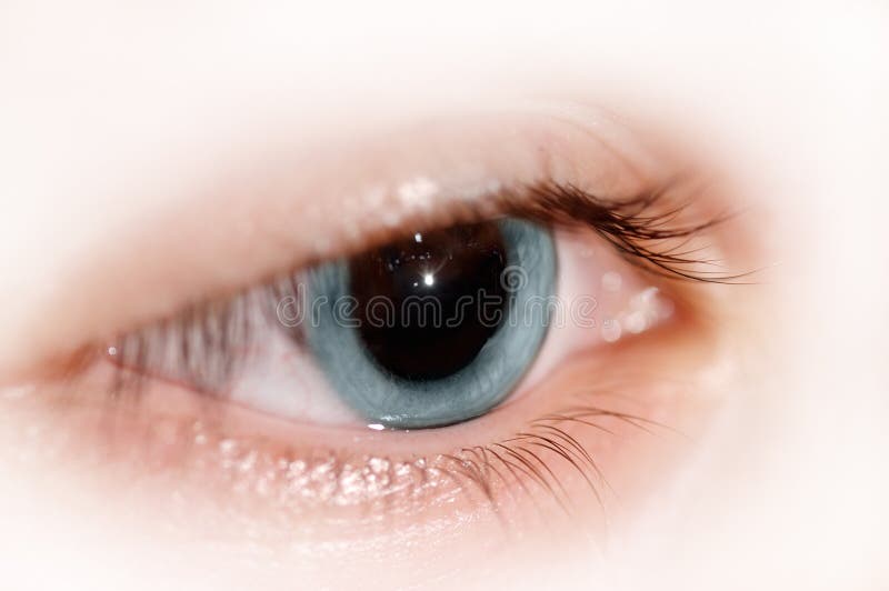Eye royalty free stock images