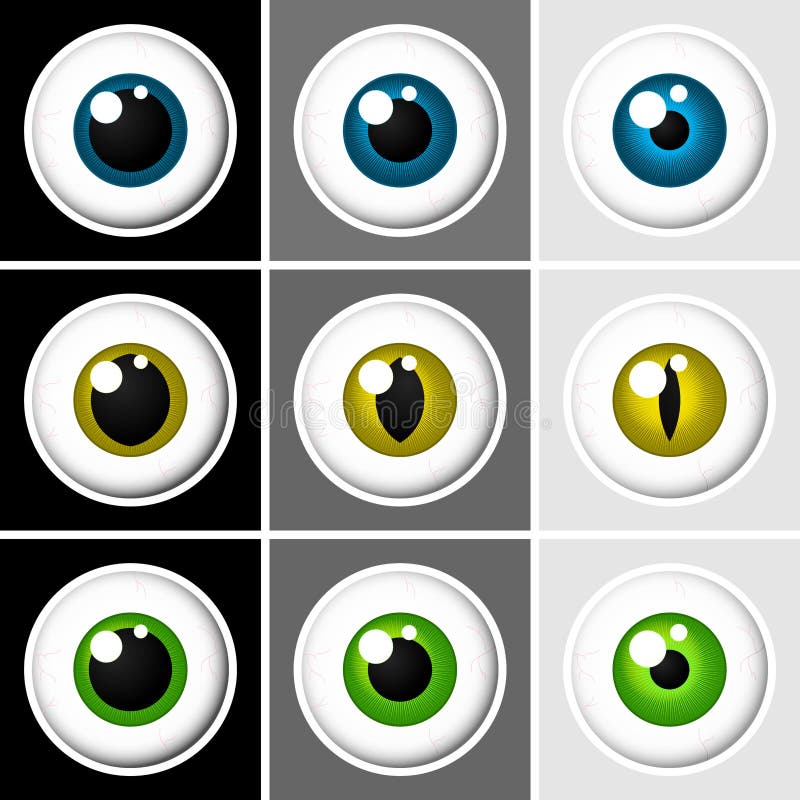 Eyeballs human and animal stock illustration Eyeballs human and animal stock illustration