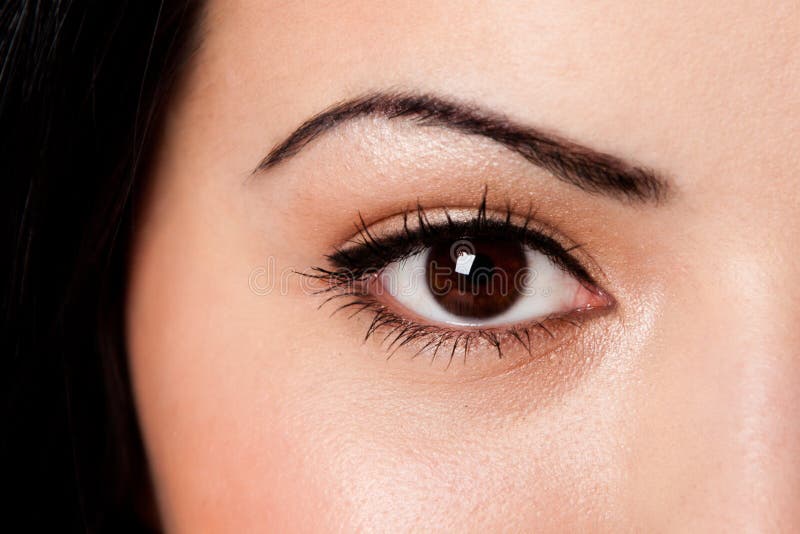 Eyebrow and eye stock photo. Image of hispanic, eyebrow 23451820