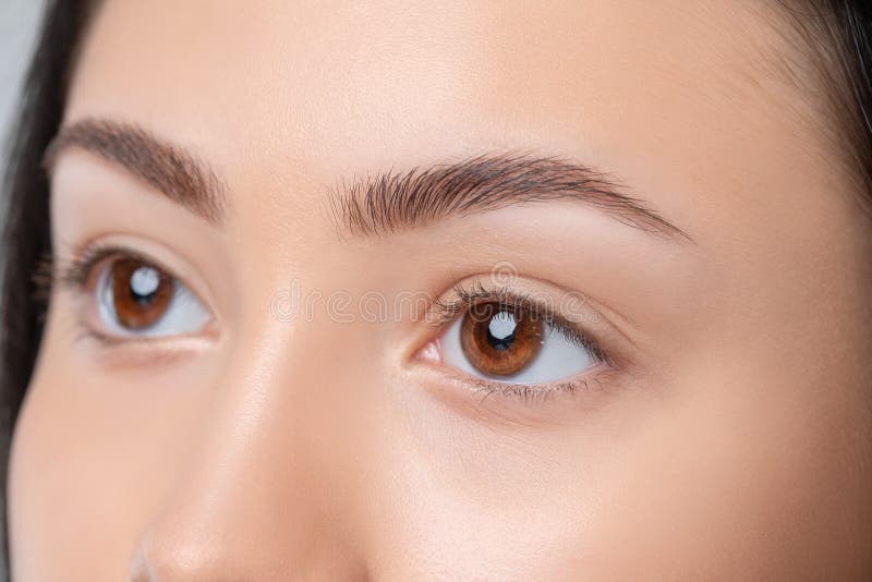 how much do brow artists make - Elroy Slone