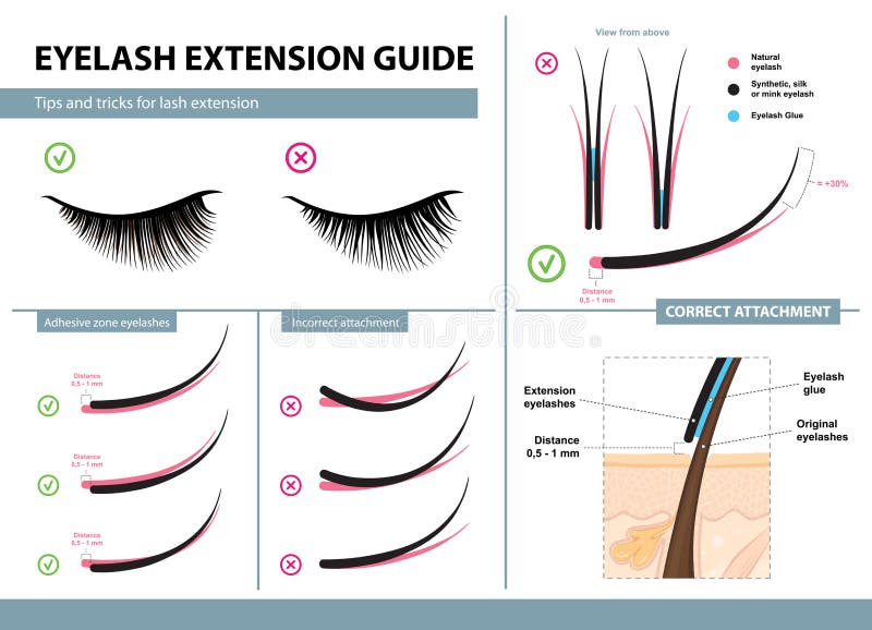 Eyelash extension guide. Tips and tricks for lash extension. Infographic vector illustration. Correct and incorrect attachment