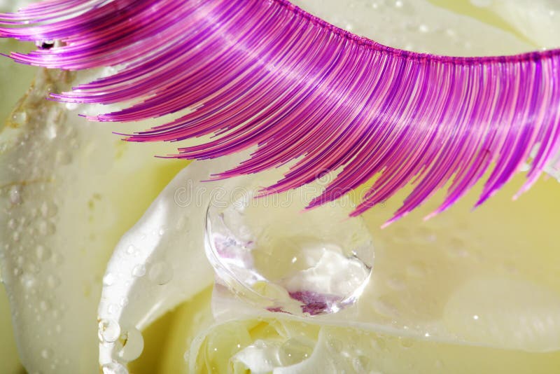 Eyelashes on a Rose Decorated Stock Image Image of nature, bellflower