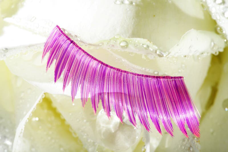 Eyelashes on a Rose Decorated Stock Photo Image of abstract, daisy