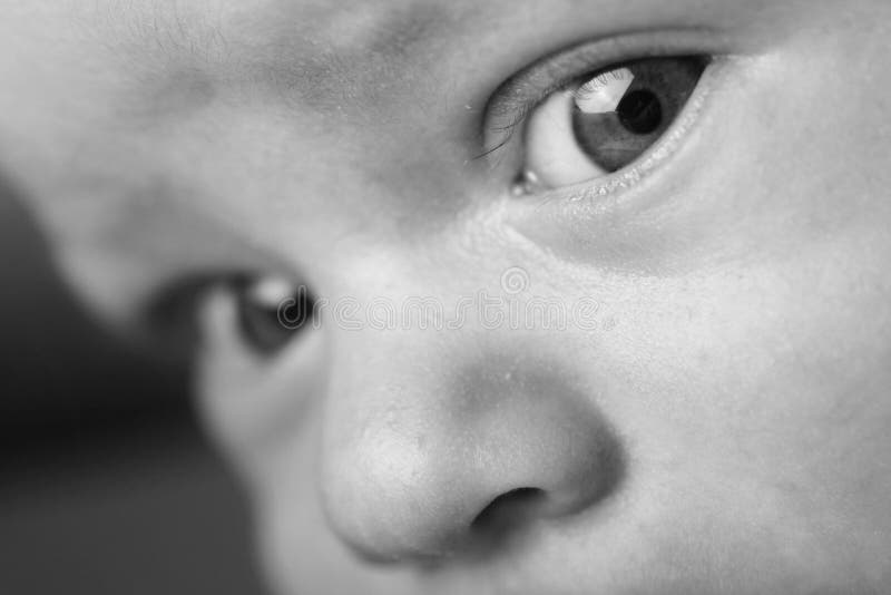 Eyes of a baby stock image. Image of happy, babyboy, kids 514805