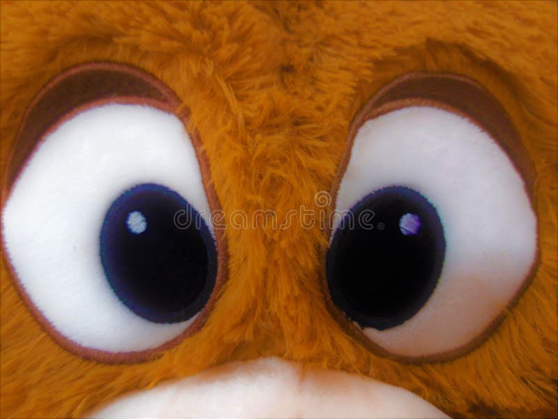 Eyes of bear toy stock image. Image of sweet, touchy 133490421