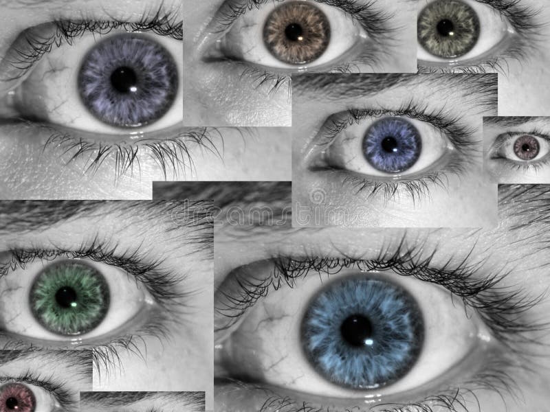 Eyes Collage Royalty Free Stock Photography Image 6228757