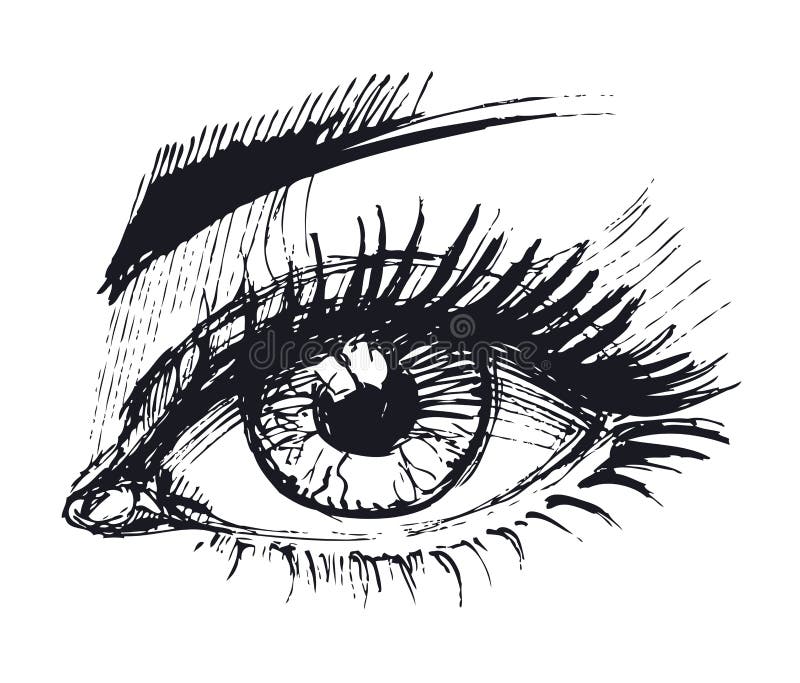 Eyes stock illustration