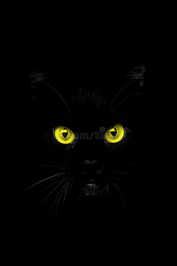 Elegante sfondo astratto per il telefono cellulare di un gatto nero testa con gli occhi gialli contro lo sfondo nero.