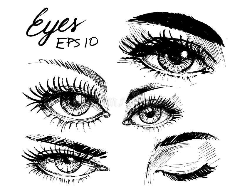 Eyes sketch vector illustration