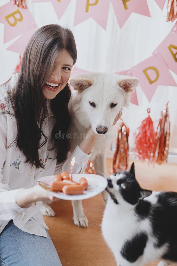 2 6 Chat De Joyeux Anniversaire Photos Libres De Droits Et Gratuites De Dreamstime 2 6 Chat De Joyeux Anniversaire Photos Libres De Droits Et Gratuites De Dreamstime
