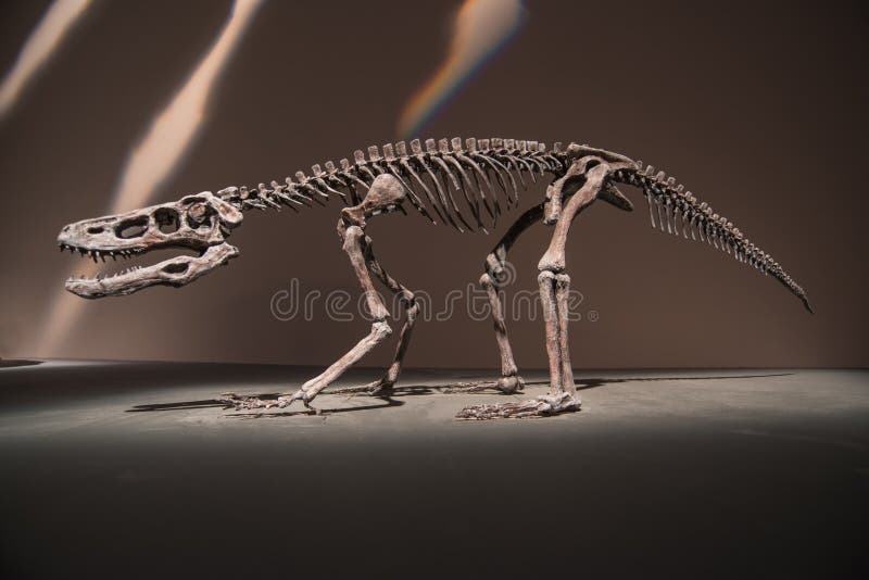 65,000+ Dinossauro Fofo Imagens