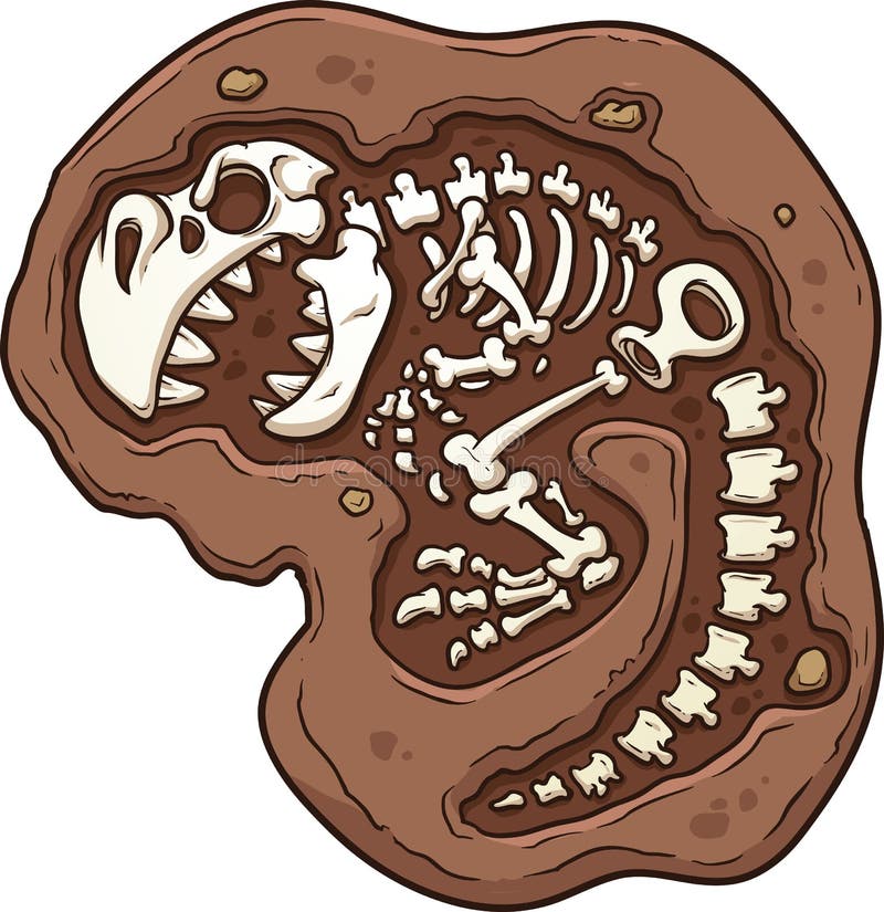 Fóssil de esqueleto de dinossauro antigo. Ilustração de desenho animado  plano vetorial imagem vetorial de prettyvectors© 142599953