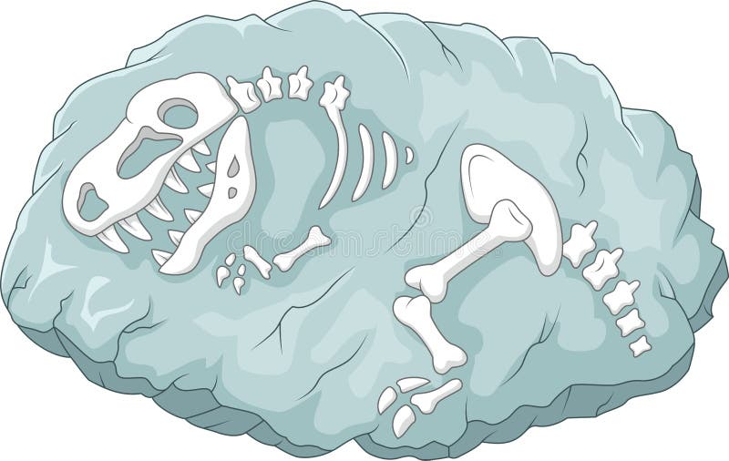 Cartoon Tyrannosaurus Rex Em Nuca Branca Ilustração do Vetor - Ilustração  de predador, dino: 157561602