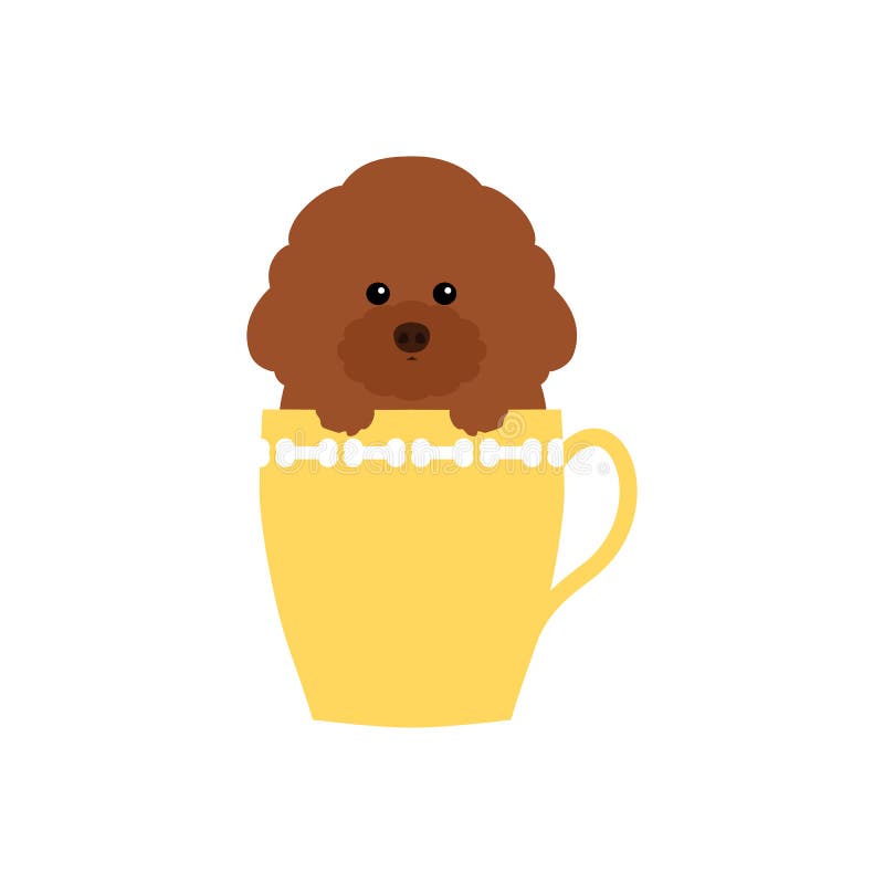 toy cup poodle