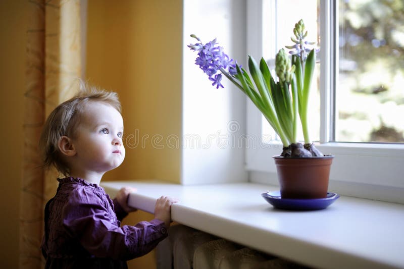 Förtjusande blommalitet barnfönster royaltyfri foto