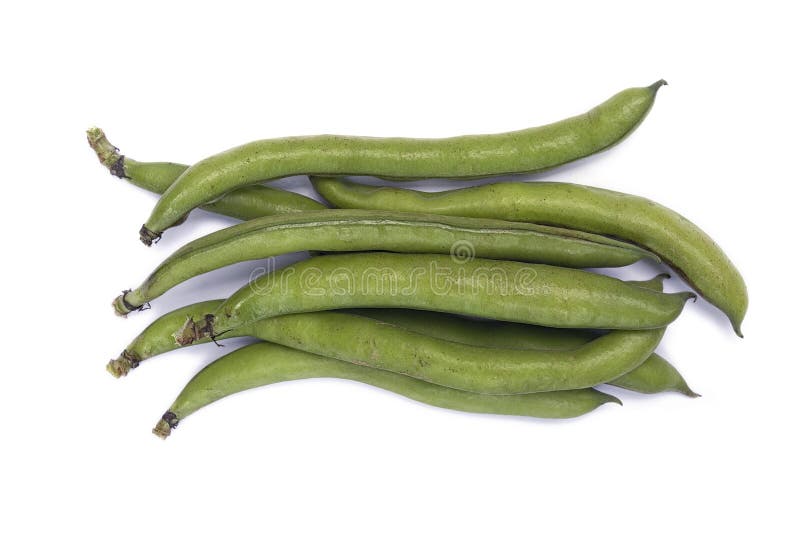 Faba var do Vicia das favas major nas vagens imagens de stock royalty free Faba var do Vicia das favas major nas vagens imagens de stock royalty free