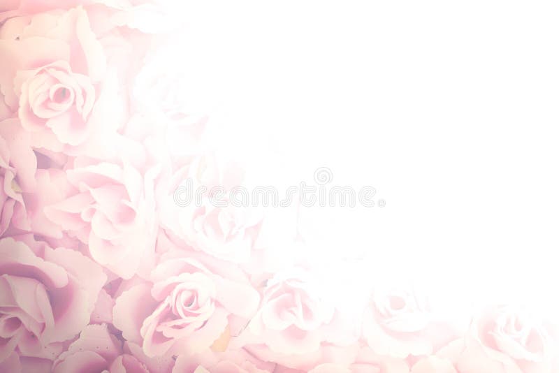 Fabric pink rose stock photo. Image of textile, plant 78667884