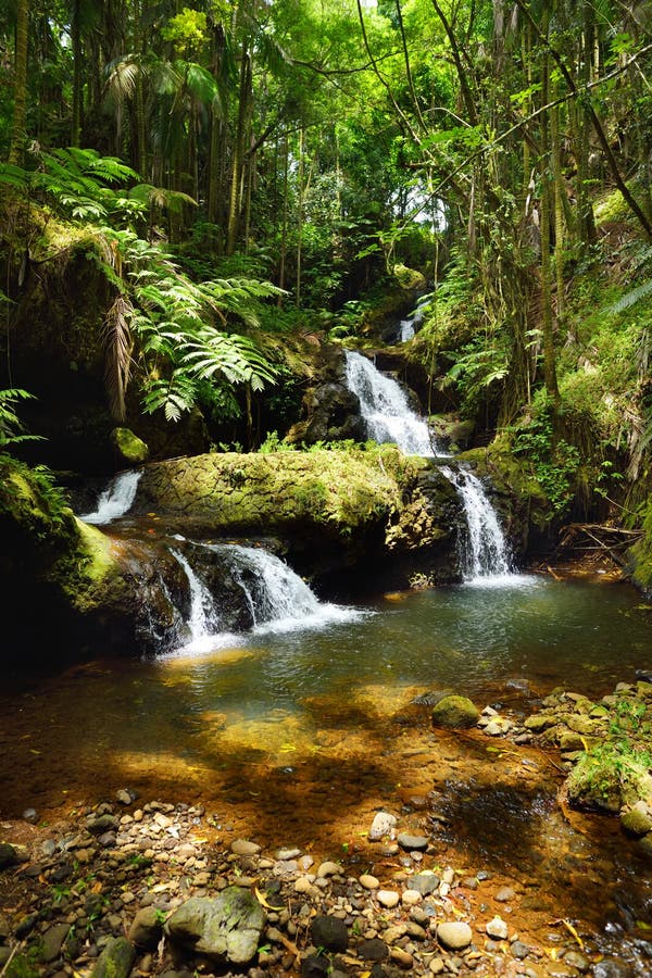 Preserve Hawaii Opportunities In Volunteering For Hawaiis Environment