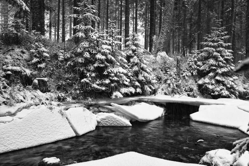 Fabulous winter forest and a river under the ice.