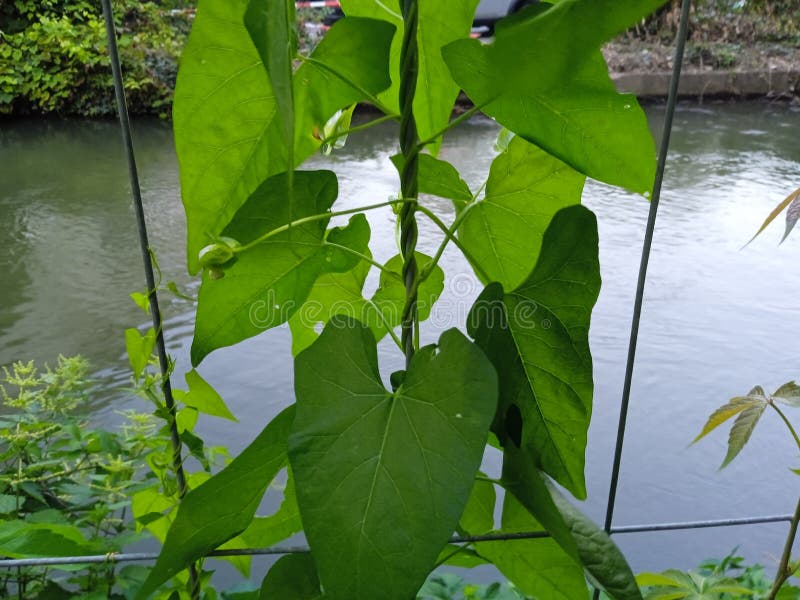 New York City Luxury Apartments for Rent | Related Rentals