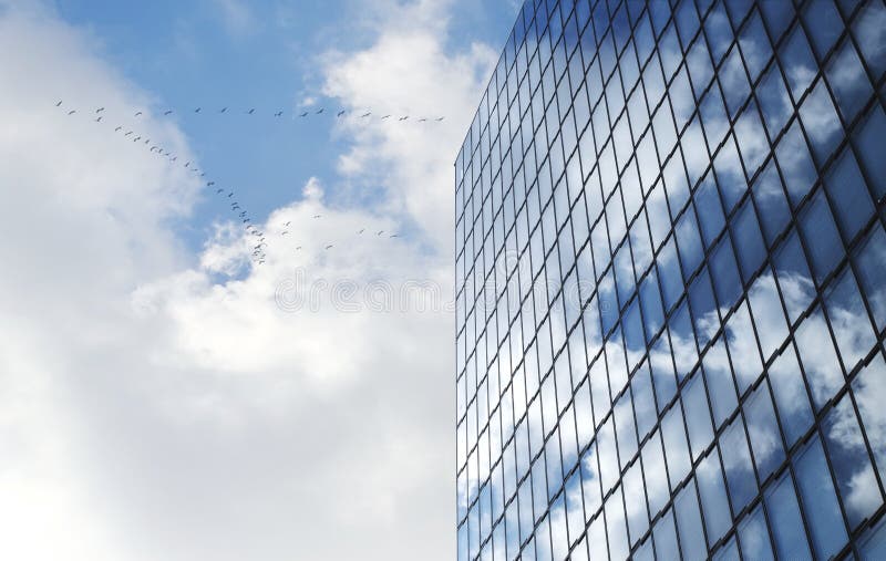 Facade of modern skyscraper with reflection of cloudy sky and a flock of birds, low angle shot, copy space stock photography