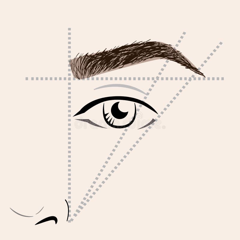 Eyebrow Chart
