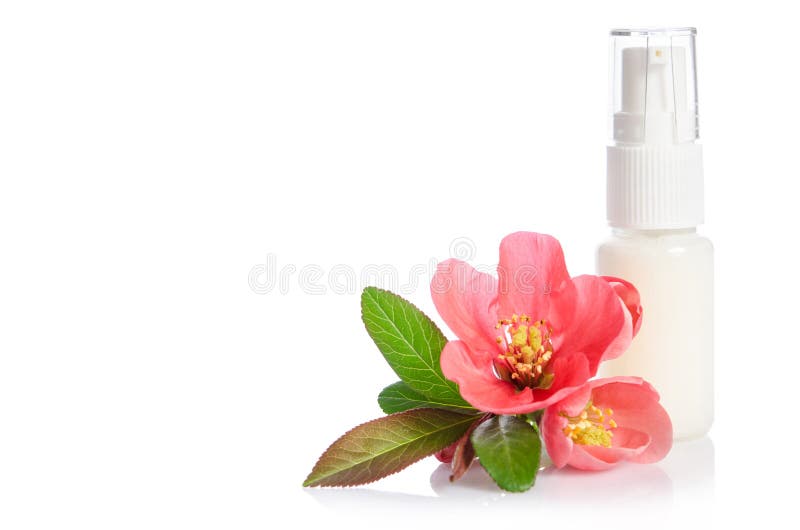 Face Cream Bottle with Pink Flower Stock Image Image of pampering