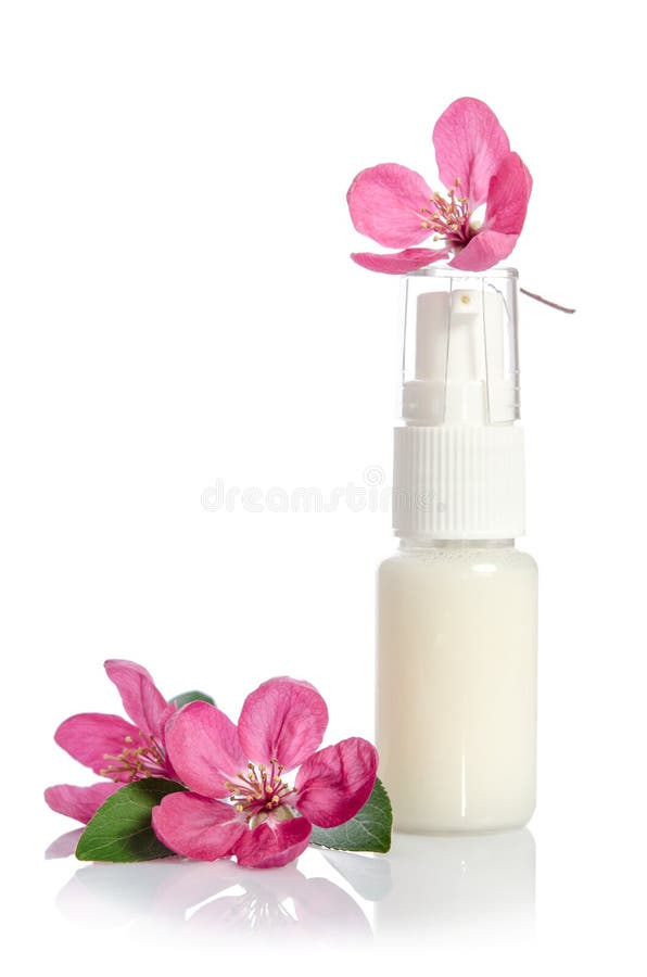 Face Cream Bottle with Pink Rose Stock Image Image of aging, body