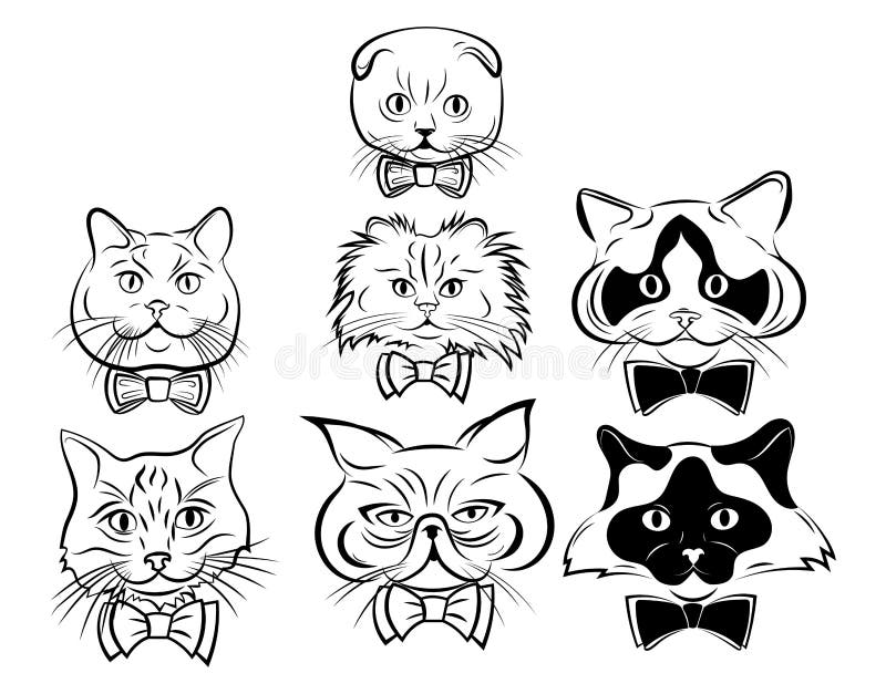 Fundo completo com bonito desenhos animados gatos de cor diferente imagem  vetorial de frenta© 331689636