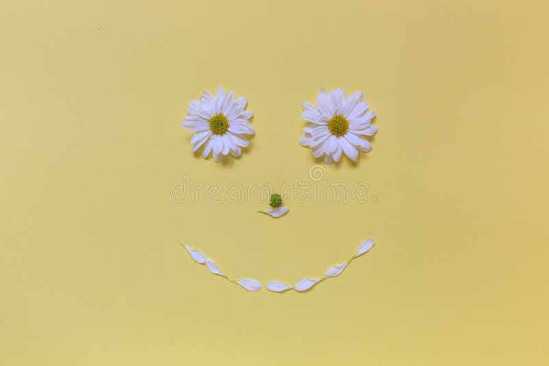 Download A Face Made Of Chamomile On A Yellow Background Stock Photo Image Of Chamomile Life 114156742 PSD Mockup Templates