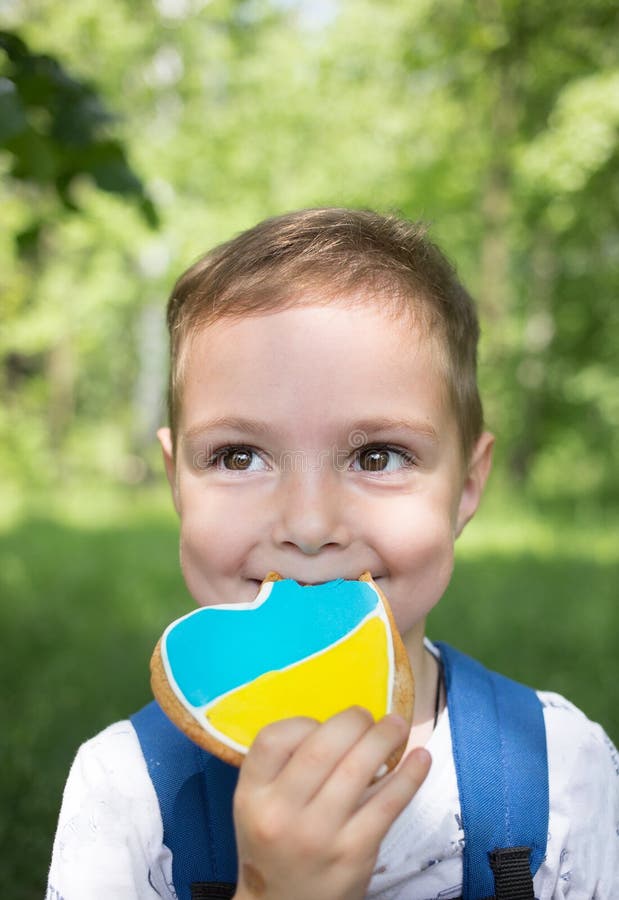 Face portrait of a nice happy boy 3 years old with a gingerbread painted in yellow - blue colors of the Ukrainian flag