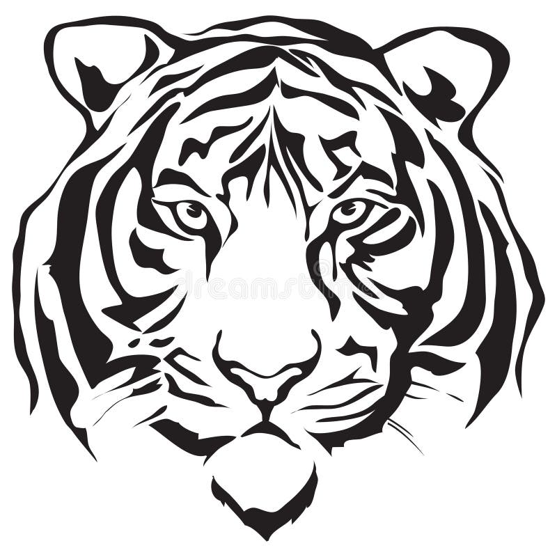 Face tiger stock vector. Illustration of pattern, horse - 25639459